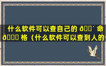 什么软件可以查自己的 🌴 命 🐎 格（什么软件可以查到人的个人信息）